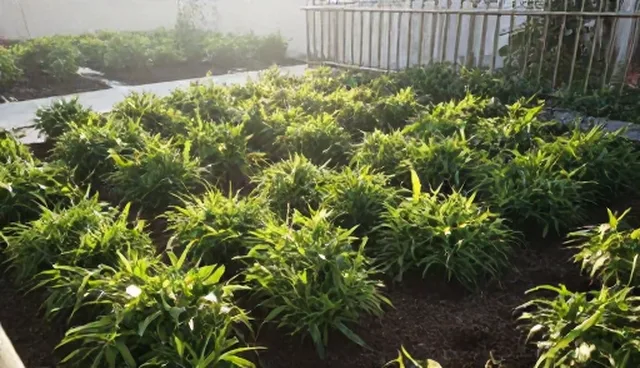 选型关注点：施工服务中材料选择对成本的影响